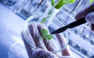 آشنایی با روشهای آمادهسازی هورمونها در پژوهشگاه مهندسی ژنتیک آشنایی با روشهای آمادهسازی هورمونها در پژوهشگاه مهندسی ژنتیک