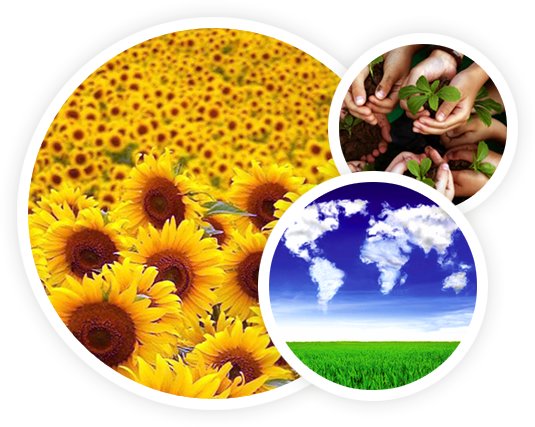 «حق محیط زیست سالم و توسعه پایدار» «حق محیط زیست سالم و توسعه پایدار»