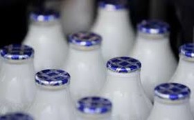کاهش سرانه مصرف شیر در کشور به ۸۰ کیلو در سال/افت چشمگیر توزیع شیر در مدارس
