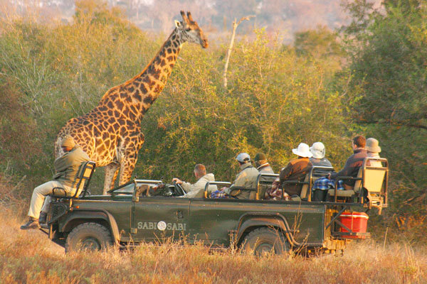 سافاری آفریقای جنوبی، پارک‌های ملی کم‌هزینه