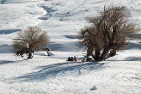 تیوب بازی در برف - یاسوج