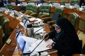 جلسه بررسی حادثه پلاسکو در شورای شهر