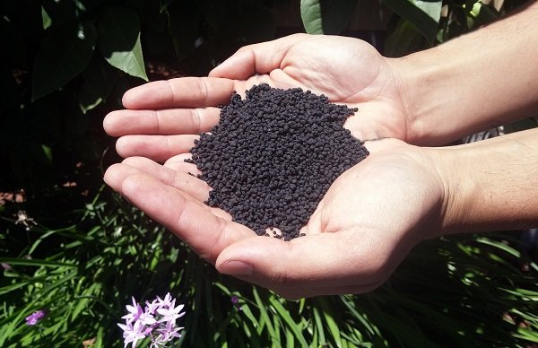 از علت کمبود و گرانی کودهای فسفاته تا ذخیره بیش از ۳۰۰۰ تن کود شیمیایی از علت کمبود و گرانی کودهای فسفاته تا ذخیره بیش از ۳۰۰۰ تن کود شیمیایی