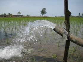 آموزش بیش از ۷۷۰۰۰ دانش‌آموز کردستانی در طرح داناب