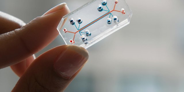 افزایش امید بازگشت بینایی با فناوری جدید هاروارد  افزایش امید بازگشت بینایی با فناوری جدید هاروارد