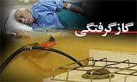 قاتل خاموش در ۱۰ ماهه امسال ۲۱ نفر را به کام مرگ کشید قاتل خاموش در ۱۰ ماهه امسال ۲۱ نفر را به کام مرگ کشید