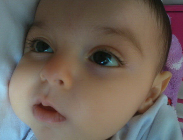 "علیرادین" چشم انتظار نوشدارو "علیرادین" چشم انتظار نوشدارو