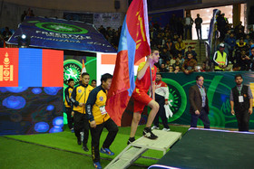 جام جهانی کشتی