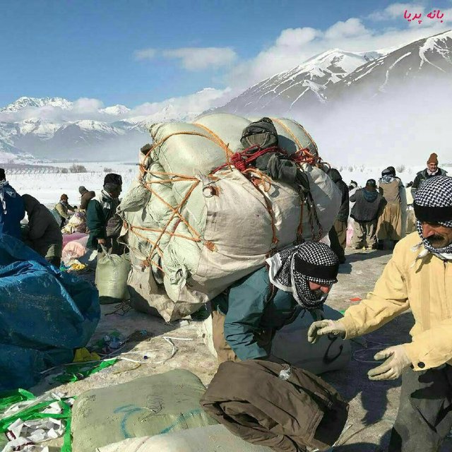 دلایل ورود وزارت کشور به ساماندهی "کولهبری"/هدایت مرزی کوله بران در ٤ استان   دلایل ورود وزارت کشور به ساماندهی "کولهبری"/هدایت مرزی کوله بران در ٤ استان