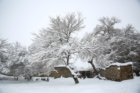 افزایش ۲ برابری سطح پوشش برفی کشور