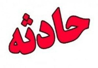 وقوع 284 حادثه بر اثر بارش برف در مشهد/ سقوط 198 اصله درخت