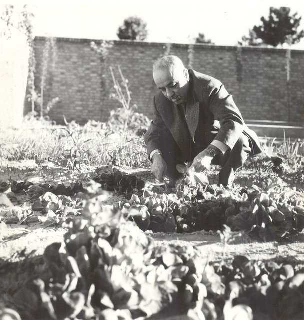 معجونی به نام «حسین گل گلاب» معجونی به نام «حسین گل گلاب»