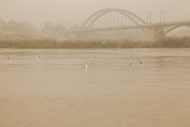 بازدید متخصصان بین‌المللی از چهار سایت مقابله با گرد و غبار ایران