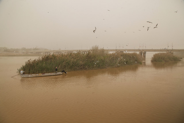 تاکید قائم مقام وزیر محیط زیست عراق بر همکاری‌های منطقه‌ای در مقابله با گردوغبار