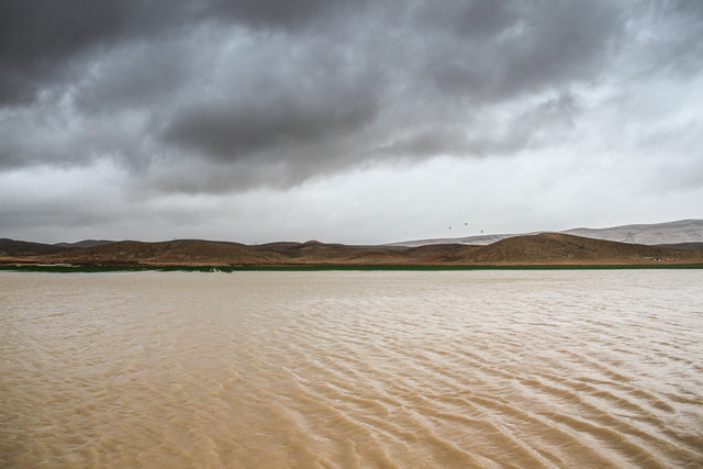 وقوع سیلاب و آبگرفتگی مزارع در پی بارندگی شدید یک هفته اخیر در روستای سنان - فسا