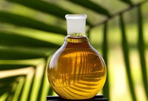 روغن درخت چای جایگزین آنتی بیوتیکها میشود؟ روغن