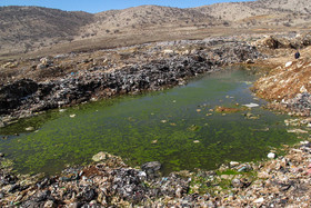 طرح محیط زیستی یک کمپین برای روز سیزده بدر 