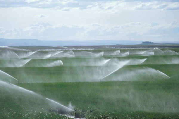 میزان 68 درصدی هدر رفت آب در اراضی کشاورزی خراسان شمالی