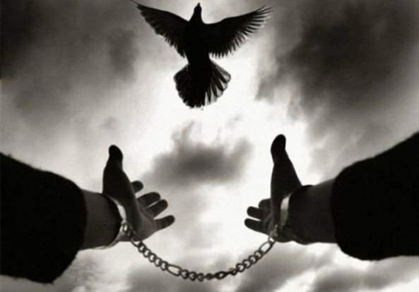 گذشت خانواده خرم‌دره‌ای از قاتل فرزند خود بعد از 14 سال