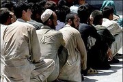 دستگیری ۴۲ نفر اتباع بیگانه غیر مجاز در طرح ضربتی پلیس سرخه
