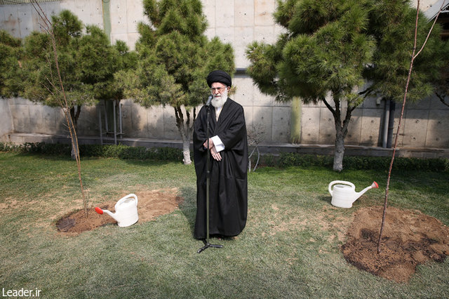 جنگل‌ها و منابع باید از دست‌اندازی سوداگران حفظ شود