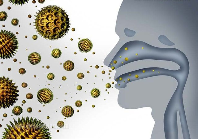 گونه علف شور، مهمترین عامل آلرژیزا در خراسان رضوی