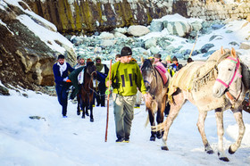 دنبال جنازه‌ها می‌رویم تا طعمه گرگ‌ها نشوند