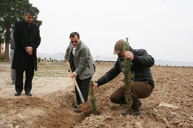 ضرورت توسعه جنگل‌کاری برای تثبیت خاک و افزایش جذب آب