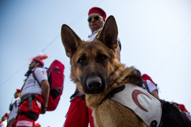 امدادرسانی هلال احمر به ۵۴۵ نفر در حوادث ۶ روز گذشته امدادرسانی هلال احمر به ۵۴۵ نفر در حوادث ۶ روز گذشته