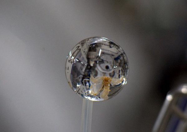 فضانوردان با مشکل نبود جاذبه و نگهداری سوخت مایع چه می‌کنند؟