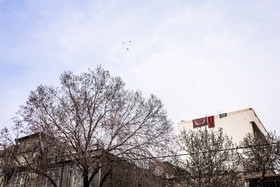 روزهای آخر سال ۹۵ - محله فلاح