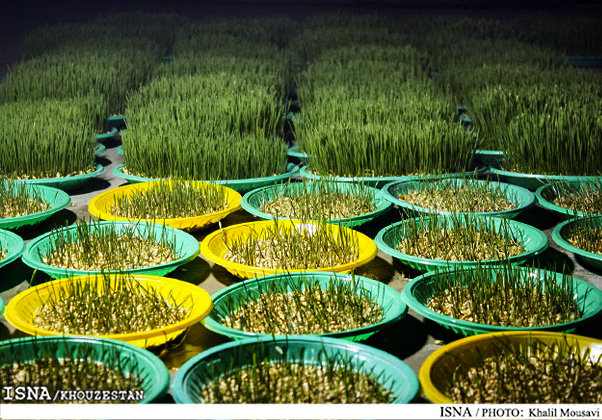 گل و سبزه شب عید چند؟ گل و سبزه شب عید چند؟