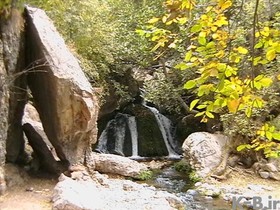 سایه سار درختان و مخمل سبزدشت شلالدون باشت تو را می‌خواند