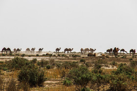 مناطق کویری جنوب کرمان