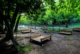 پارک جنگلی وکیلآباد، پارکی خوش آب و هوا و دارای رودخانههای فصلی است. آبیاری درختان این پارک توسط قنات وکیلآباد تامین میشود.