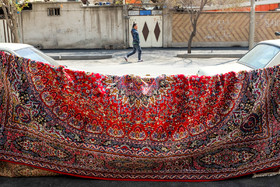 روزهای آخر سال ۹۵ - منطقه ۱۵ کیانشهر