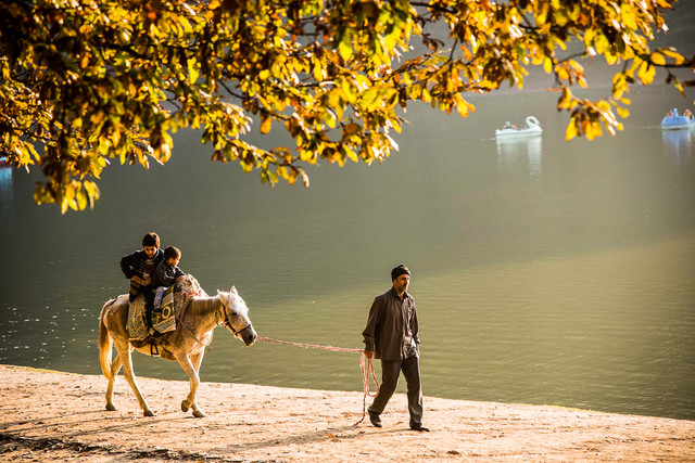 فرهنگ مازندرانی در حال فراموش شدن است  مازندران