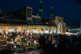 بهار ، تهران ، شور و اشتیاق