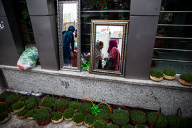 بهار ، تهران ، شور و اشتیاق