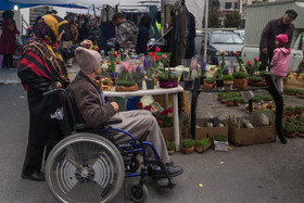 بهار ، تهران ، شور و اشتیاق