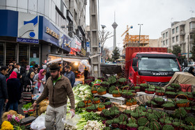 بهار ، تهران ، شور و اشتیاق