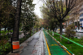 حسرت واپسین معمار بلوار کشاورز