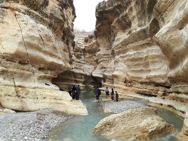 دیدن تنگهی رازیانه  را از دست ندهید  دیدن تنگهی رازیانه  را از دست ندهید