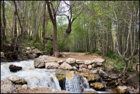 سفر به "فارسان"؛ سرزمین رویاها