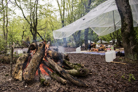 سیزده فروردین ، روز آشتی با طبیعت  - ساری