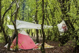 سیزده فروردین ، روز آشتی با طبیعت - ساری