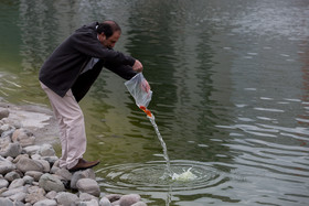 سیزده فروردین ، روز آشتی با طبیعت - تهران