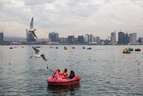 سیزده فروردین ، روز آشتی با طبیعت - دریاچه خلیج فارس