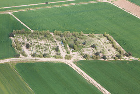 سیزده فروردین ، روز آشتی با طبیعت - خوزستان