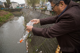 سیزده فروردین ، روز آشتی با طبیعت - رشت - متاسفانه عده ای از هموطنان در روز آشتی با طبیعت طبق عادتی ناپسند سبزه و ماهی سفره های هفت سینشان را در طبیعت و اطراف رودخانه ها رها می کنند که این مسئله باعث آلودگی و زشتی محیط زیست می شود